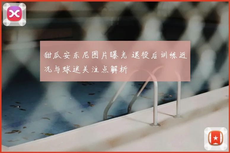 甜瓜安东尼图片曝光 退役后训练近况与球迷关注点解析