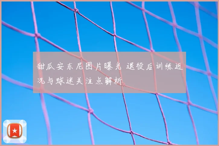 甜瓜安东尼图片曝光 退役后训练近况与球迷关注点解析