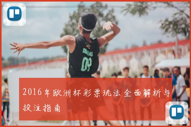 2016年欧洲杯彩票玩法全面解析与投注指南